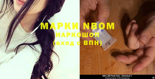 гашик Нея
