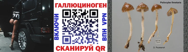Галлюциногенные грибы мицелий  хочу наркоту  Руза 