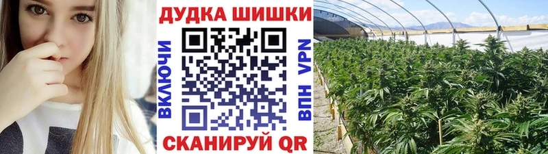 Шишки марихуана OG Kush  Руза 